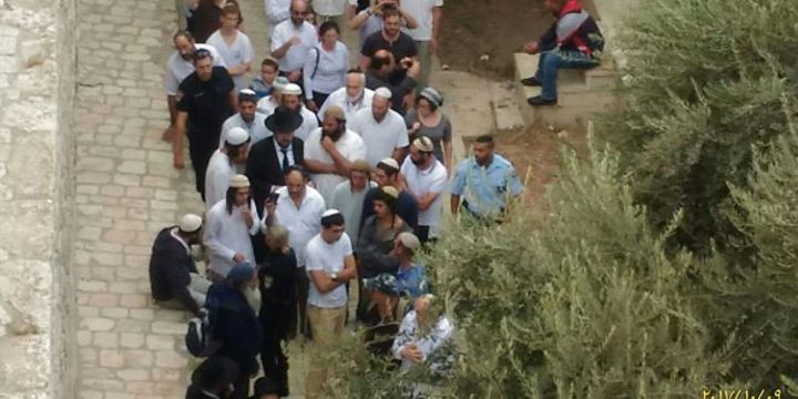 متطرفون يقتحمون باحات الأقصى تحت حراسة مشدَّدة من الاحتلال