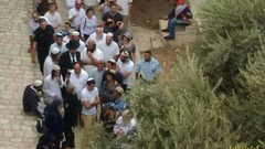 متطرفون يقتحمون باحات الأقصى تحت حراسة مشدَّدة من الاحتلال