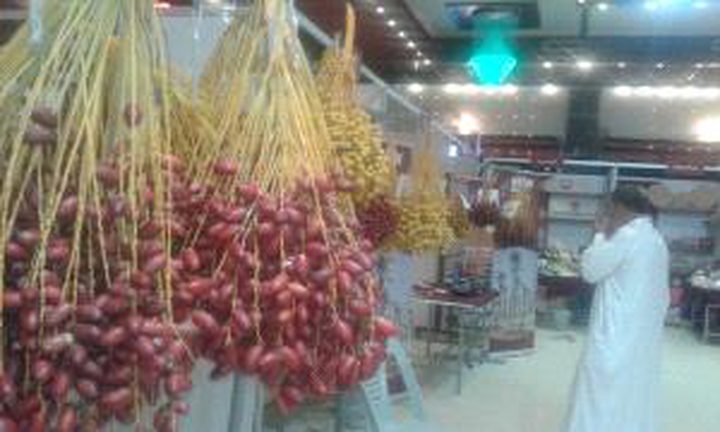 "بلح غزة".. مصدر رزق يتلاشى تدريجياً