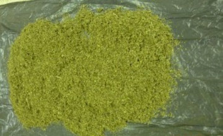 ضبط مواد يشتبه بأنها مخدرة في جنين