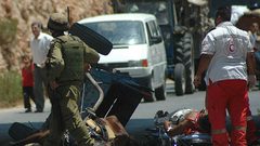 إصابة مواطن دهسًا