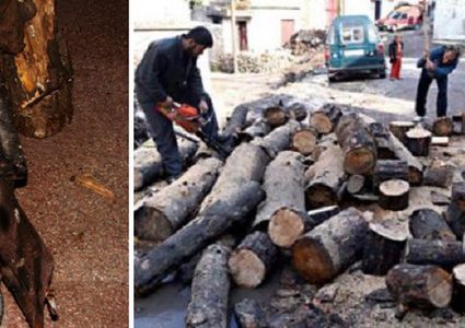 (البواري) .. استثمار الفلسطينيين الناجح (صور)