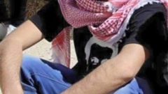 بتهمة التحريض.. الحكم بالسجن والغرامة على الشاب ابو عكر