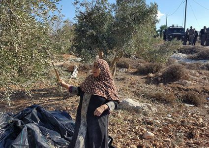 تصاعد وتيرة اعتداءات المستوطنين في قريوت(صور،فيديو)