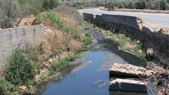 مجاري مستوطنة "اريئيل" تلوث حقول الزيتون في سلفيت