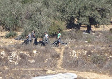 بالفيديو: مستوطنون يسرقون ثمار الزيتون غرب رام الله