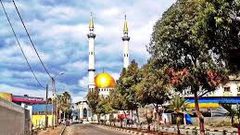 "العمل" تنفذ جولة تفتيشية في قلقيلية