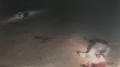 بالصور: مقتل 15 إرهابيا و17 شرطيا بهجوم الواحات في مصر