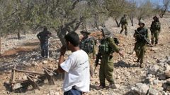 الاحتلال ينكل بقاطفي الزيتون شرق قلقيلية