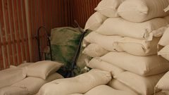 إحالة ثلاثة تجار للنيابة العامة وضبط 63 شوال طحين