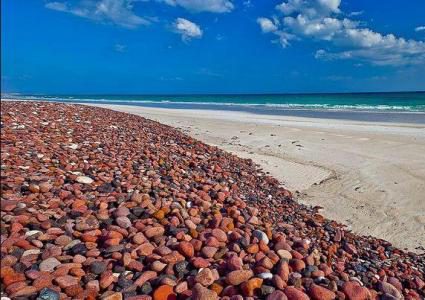 جزيرة سوقطرة اليمنية ... متحف التنوع البيئي