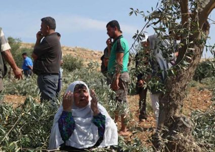 قوات الاحتلال ومستوطنون يعتدون على نشطاء دوليين
