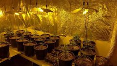 ضبط مستنبت مخدرات بتجهيزات عالية والقبض على شخصين