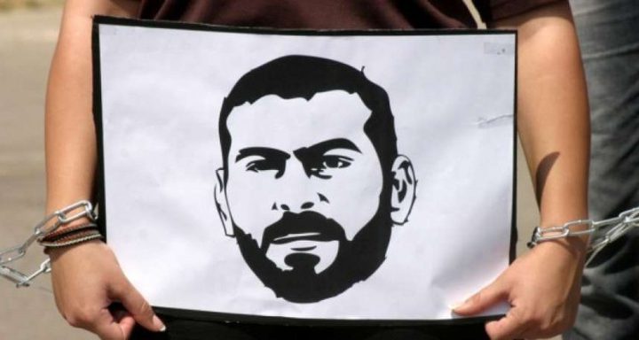 الاحتلال ينقل الأسير المضرب بلال ذياب إلى عزل "اوهيلكدار"