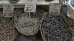 مطحنة بريك (فيديو)