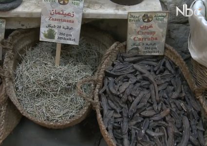 مطحنة بريك (فيديو)