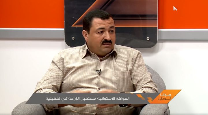 الفواكه الاستوائية مستقبل الزراعة في قلقيلية