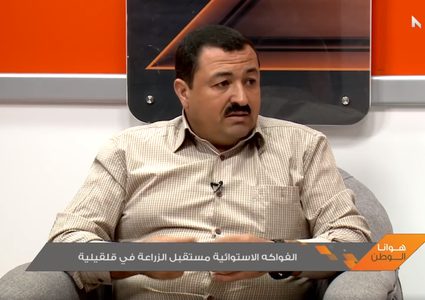 الفواكه الاستوائية مستقبل الزراعة في قلقيلية