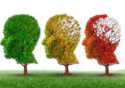 الدماغ ليس مركز الزهايمر