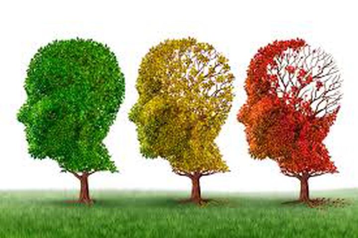 الدماغ ليس مركز الزهايمر