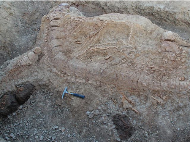 في الهند.. اكتشاف "وحش بحري" عمره 125 مليون عام