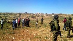 الاحتلال يمنع المزارعين من قطف الزيتون في كفر الديك