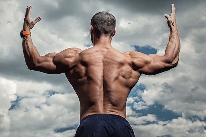 عضلات الرجل والمرأة