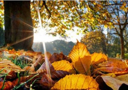 هل تشهد الأيام المقبلة أمطاراً؟