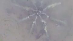 اداة غريبة على شاطئ جزيرة رود