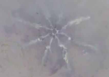 اداة غريبة على شاطئ جزيرة رود