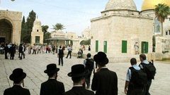 قطعان من المستوطنين يقتحمون الأقصى