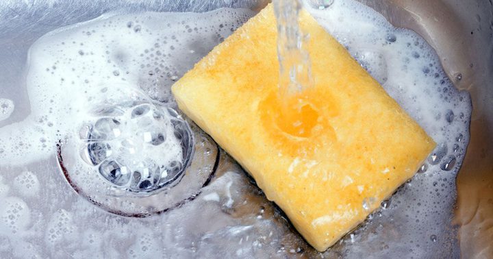 ليفة الجلي يمكن أن تكون خطر أكثر مما هي اداة صحية