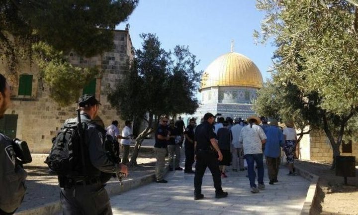 تحت حراسة مشددة .. اقتحامات جديدة للأقصى