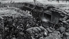 مشاركة النحل في الحروب (فيديو)