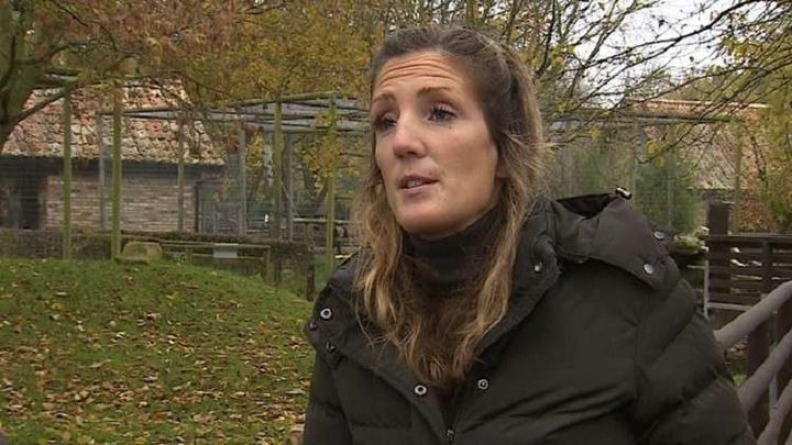 أصبحت كما الحجر بعد لدغة بعوض!