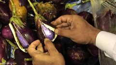 ضبط "الباذنجان المخدر" في السعودية