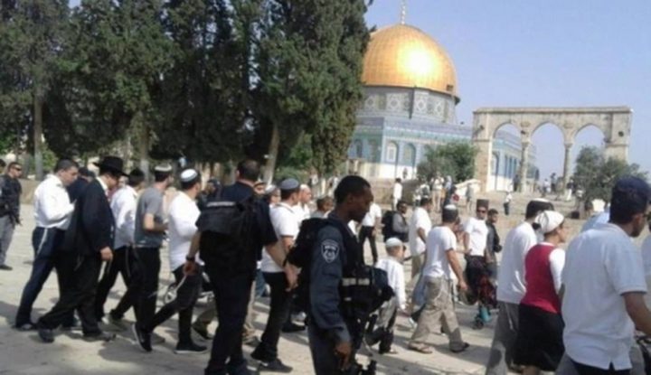 مستوطنون وعناصر من مخابرات الاحتلال يقتحمون الأقصى