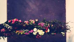 صباحك يابلد 16_11-2017