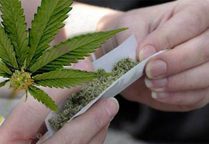 ضبط كيلو ونصف ماريجوانا بحوزة تاجر