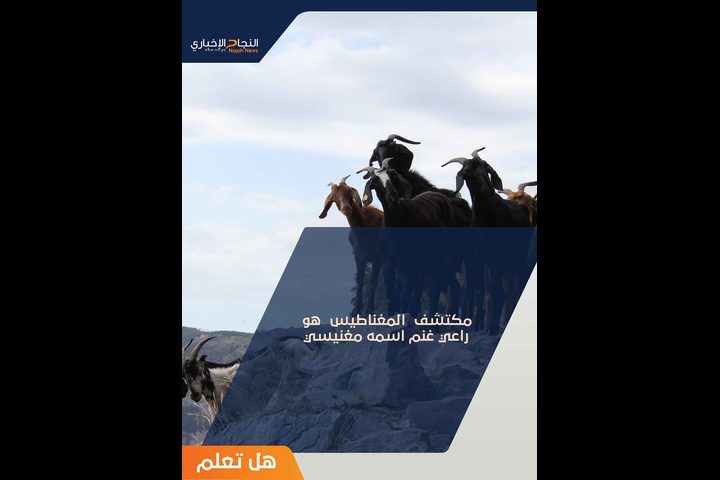 المغناطيس