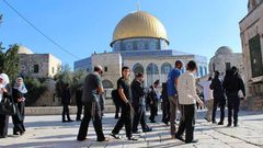 مستوطنون يواصلون اقتحامهم للأقصى