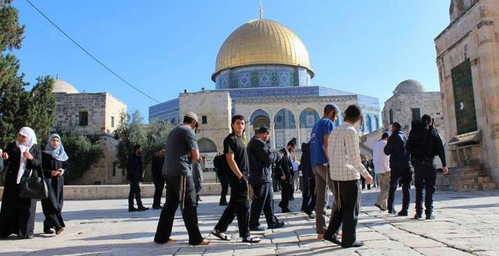 مستوطنون يواصلون اقتحامهم للأقصى