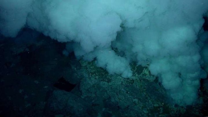 "المداخن السوداء" سر الحياة في  المحيطات