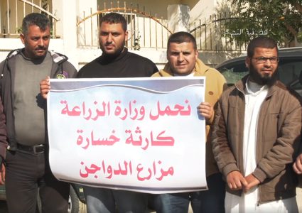 هبوط أسعار الدواجن في غزة (فيديو)