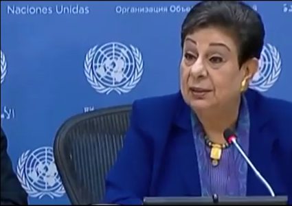 سبعون عامًا على ذكرى تقسيم فلسطين (فيديو)