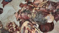 إتلاف لحوم غير صالحة للاستهلاك في بيت لحم