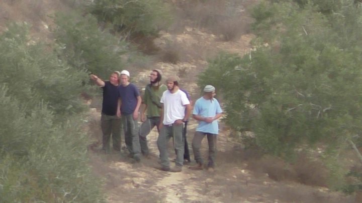 اعتداءات المستوطنين.. إذا كان القاضي غريمك لمن تشتكي؟