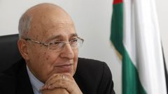 شعث لـ" النجاح": فلسطين ومصر ترفضان دولة فلسطينية على أجزاء من سيناء