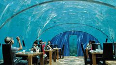 أغرب المطاعم حول العالم