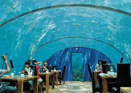 أغرب المطاعم حول العالم